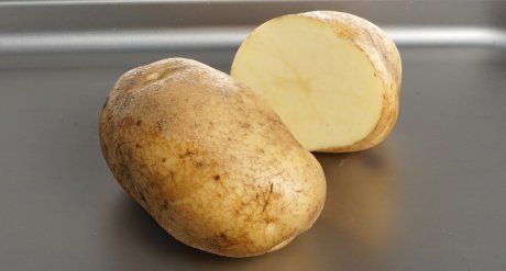 Сорта элитного картофеля - описание, метод получения